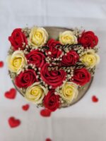 PHOTO 2026 02 20 12 31 15